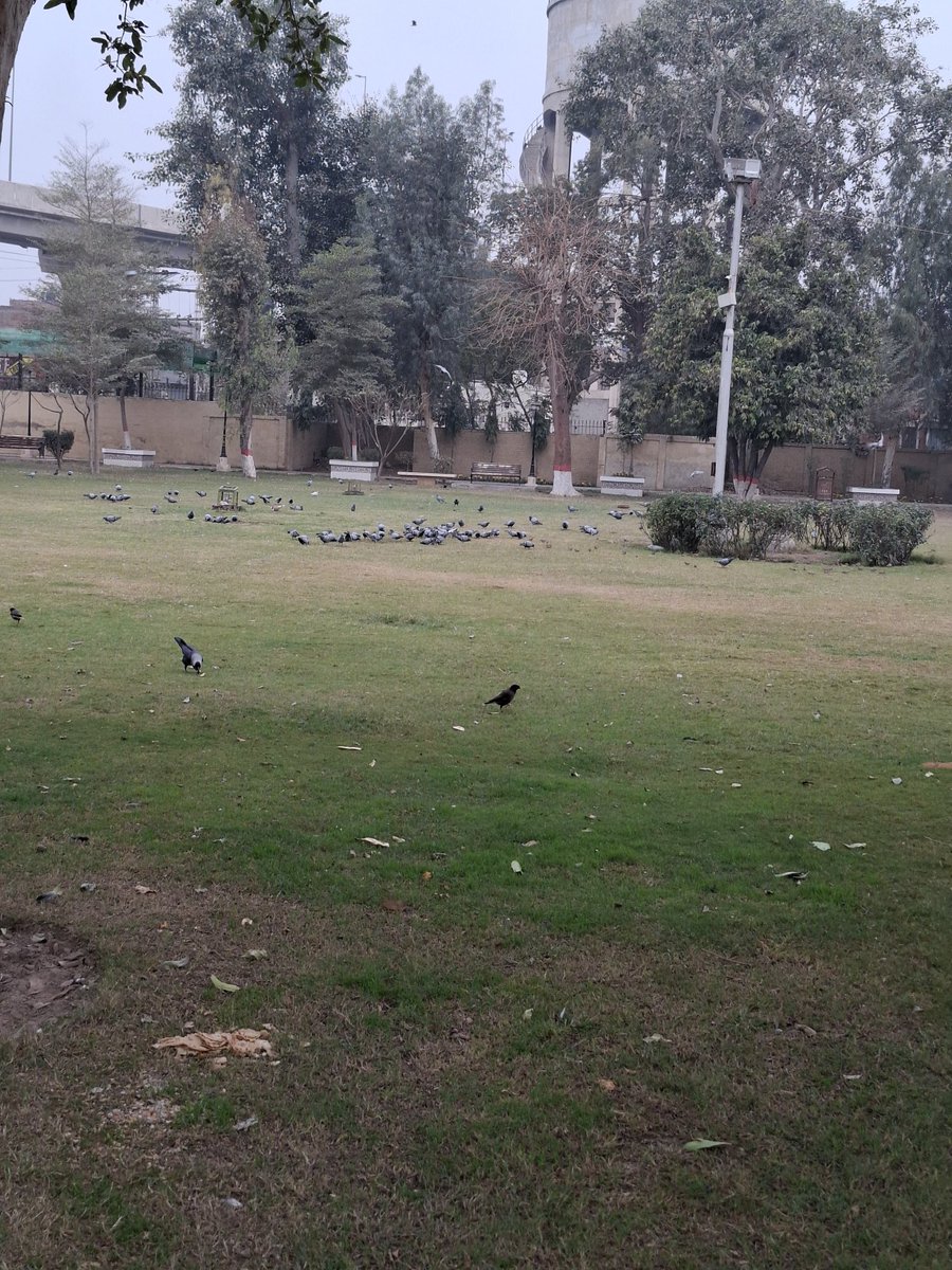 Rash_id1's tweet photo. محترمہ وزیر اعلیٰ پنجاب مریم نواز صاحبہ (@MaryamnSharif)، ملتان کے شہریوں کی جانب سے ایک اہم گزارش!
​رمضان المبارک میں تراویح کے بعد صحت مند سرگرمیوں کے لیے ملتان کا تاریخی "عام خاص باغ" ایک بہترین جگہ ہے، لیکن یہ رات 9 بجے ہی بند کر دیا جاتا ہے۔ جس کی وجہ سے تراویح کے بعد واک کرنے والے شہری پریشان ہیں۔
​آپ سے درخواست ہے کہ ضلعی انتظامیہ اور PHA ملتان کو ہدایت جاری فرمائیں کہ رمضان کے دوران پارک کے اوقات کار رات 10:30  تک بڑھائے جائیں تاکہ عوام افطار اور عبادات کے بعد سکون سے چہل قدمی کر سکیں۔
​امید ہے کہ آپ ہماری اس چھوٹی سی مگر اہم ضرورت پر توجہ دیں گی۔
 @MaryamnSharif، @GovtofPunjabPK  

@CMComplaintCell