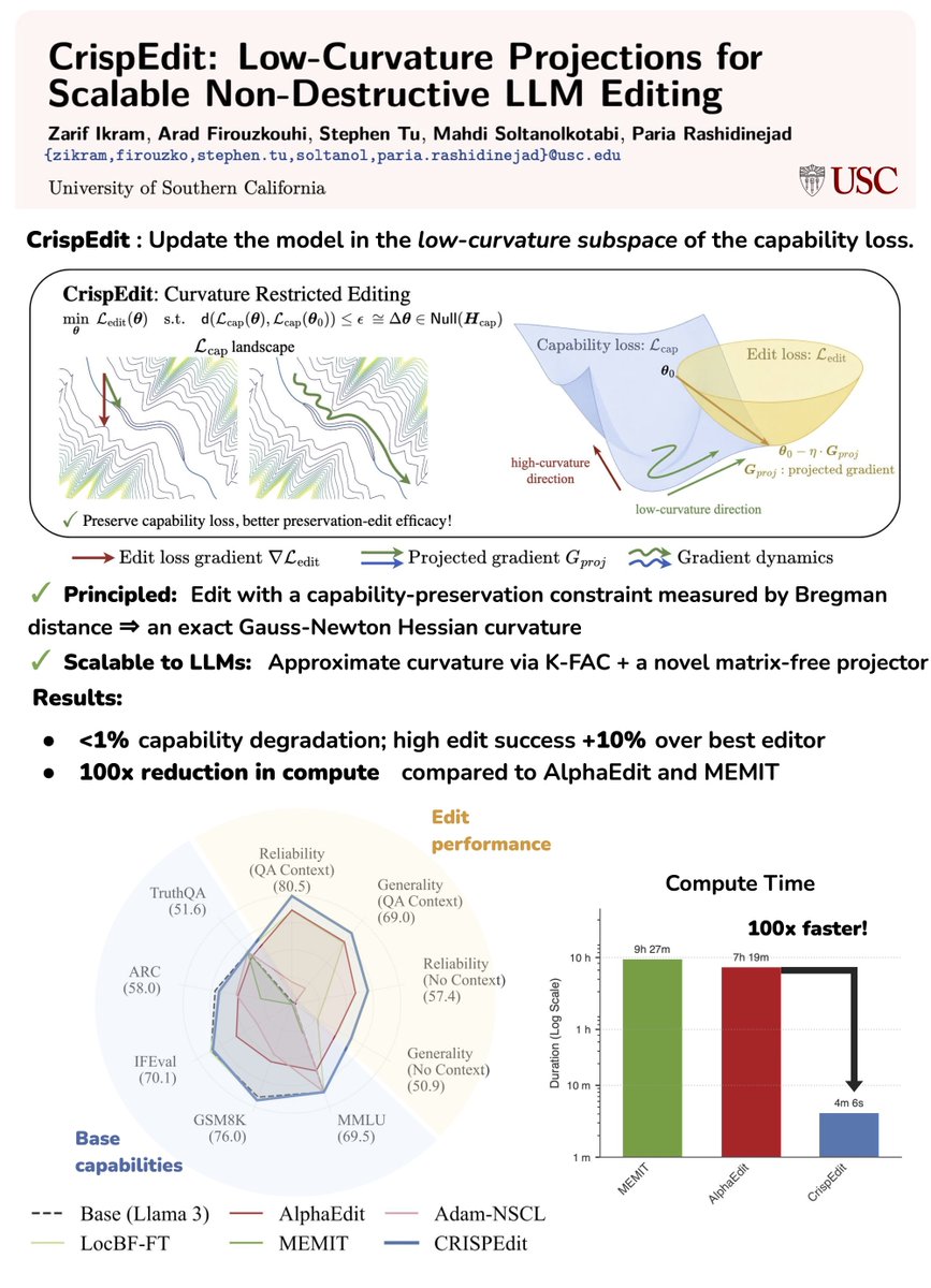 Paria Rashidinejad tweet media