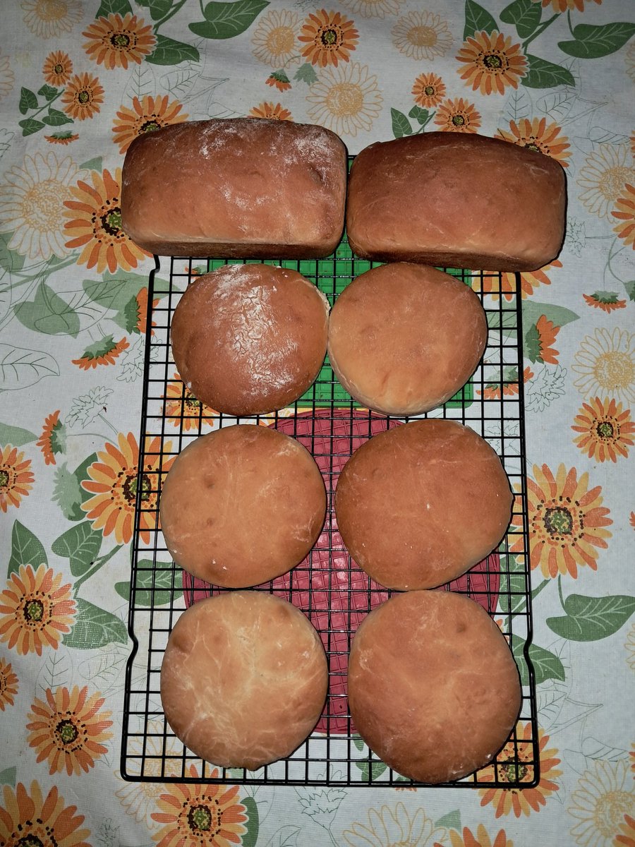 MakingBreads's tweet image. Mini White Bread Loaves and Homemade Hamburger buns. 

#Bread #Homemade #BakingBread #BreadOfTheWeek