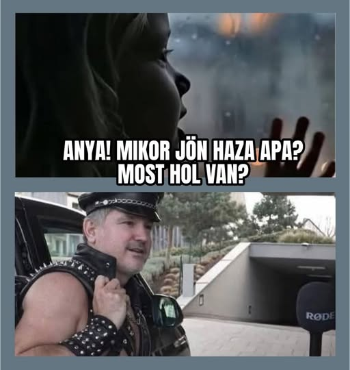 ZamboriGusztav's tweet photo. https://t.co/zl6pn9N150