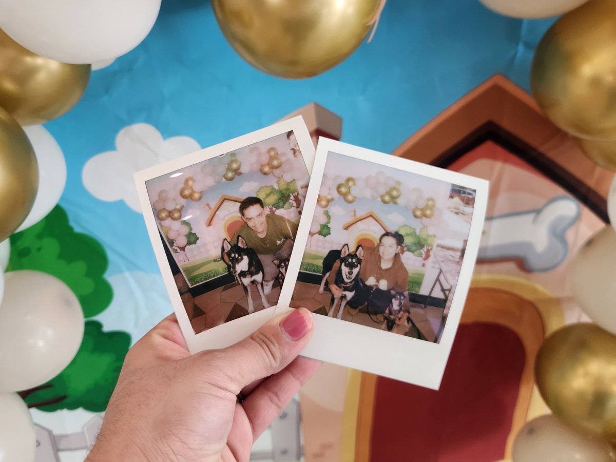 Apartment Life tweet media