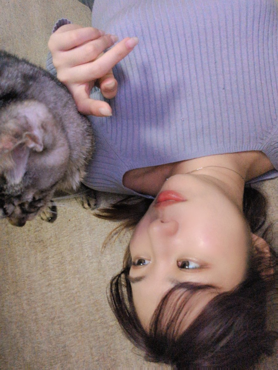 OM_RAMURAMU's tweet photo. おやすみなさい〜 https://t.co/Ulj4dRO3RZ