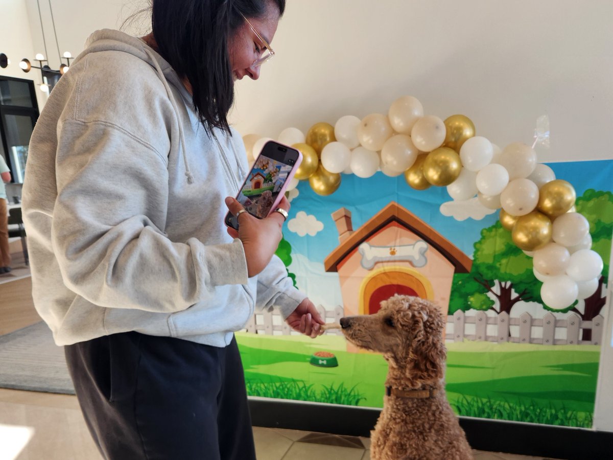 Apartment Life tweet media