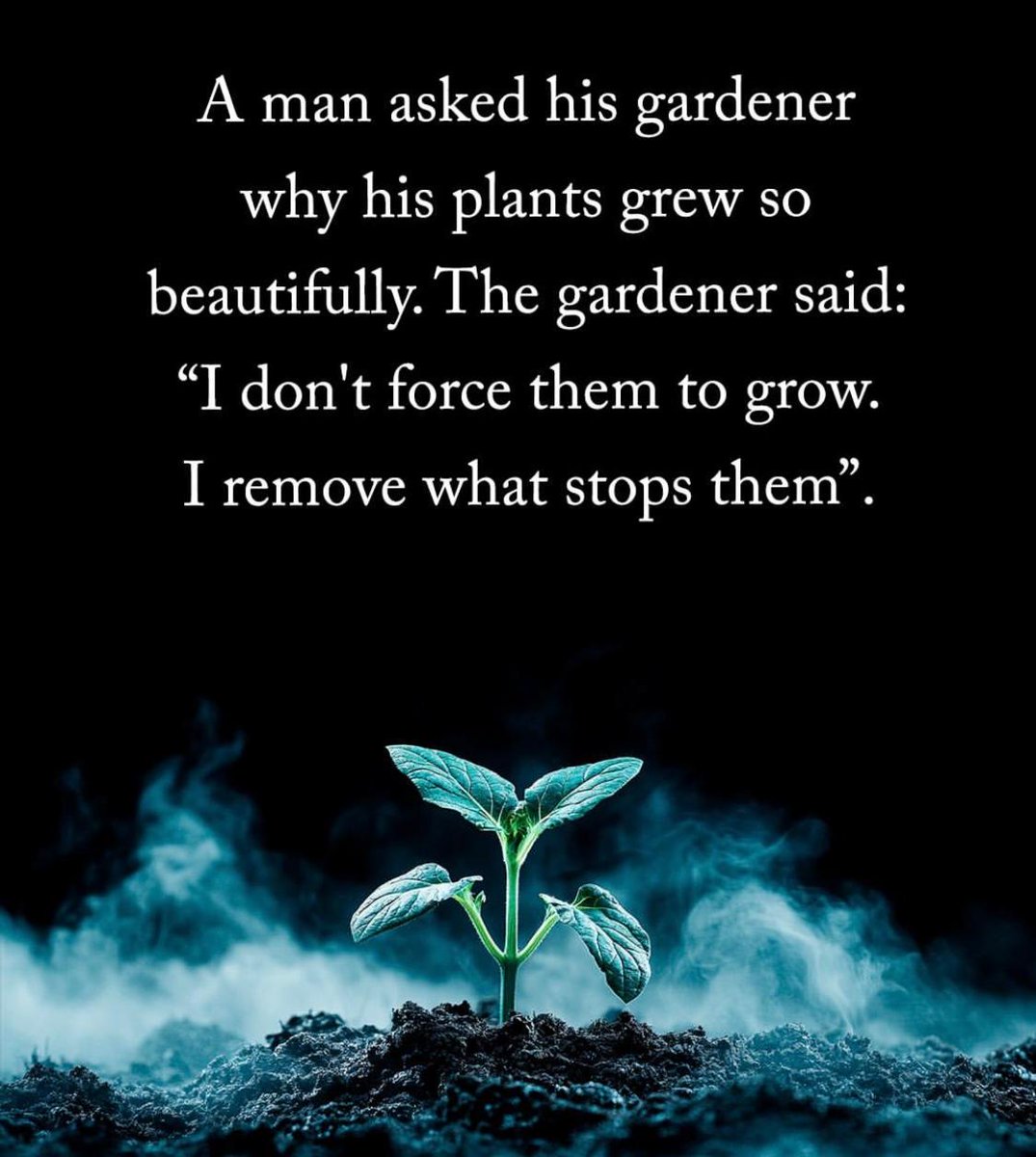 lawofthoughts's tweet photo. https://t.co/kxmvYNyVq6