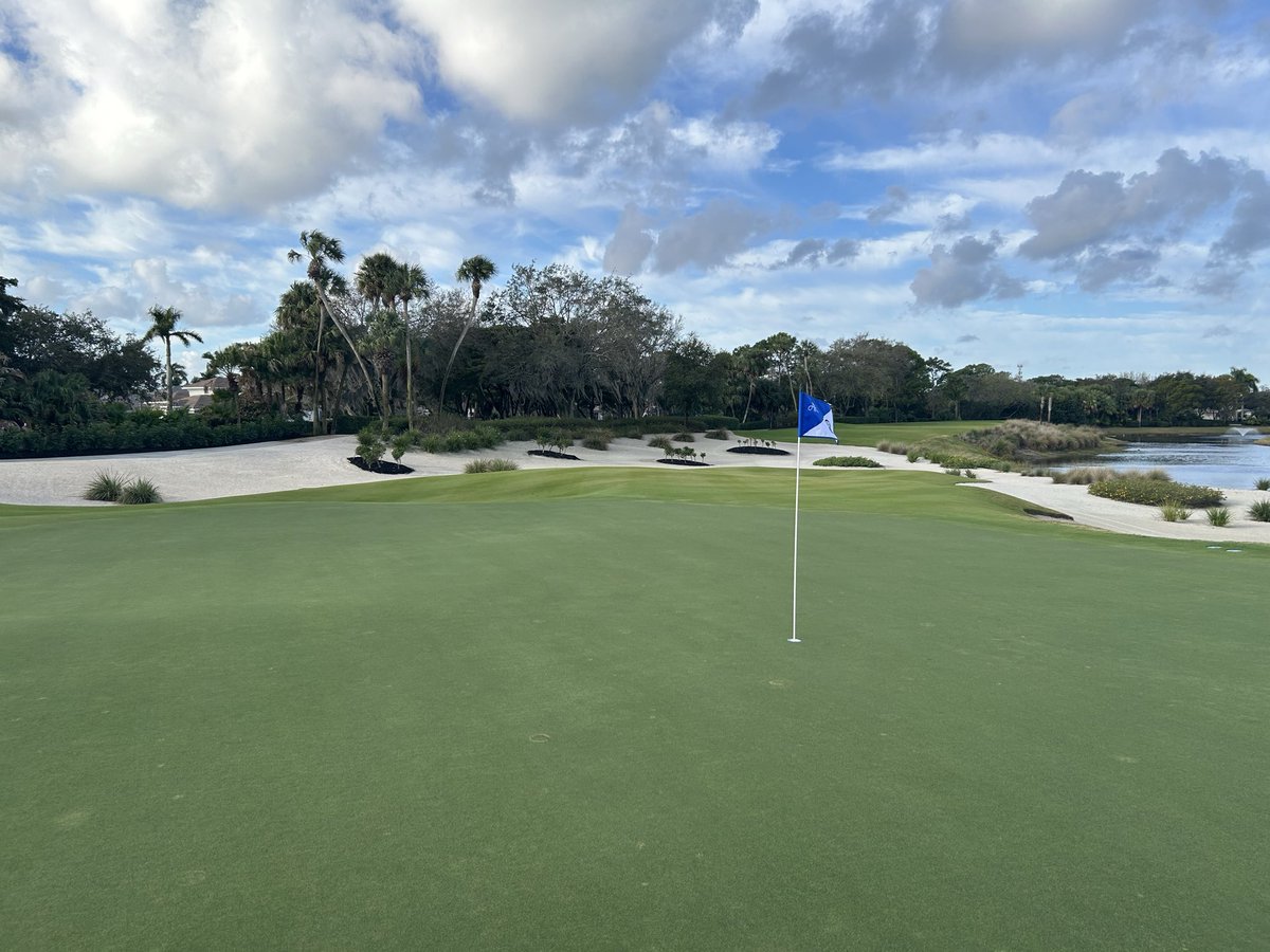 No Divots tweet media