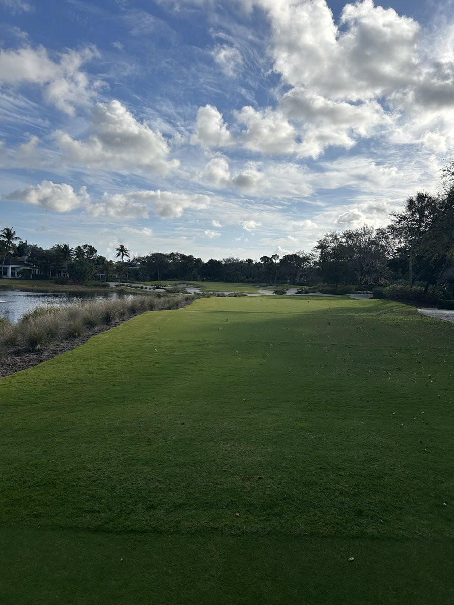 No Divots tweet media