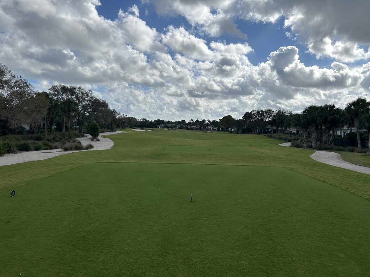 No Divots tweet media