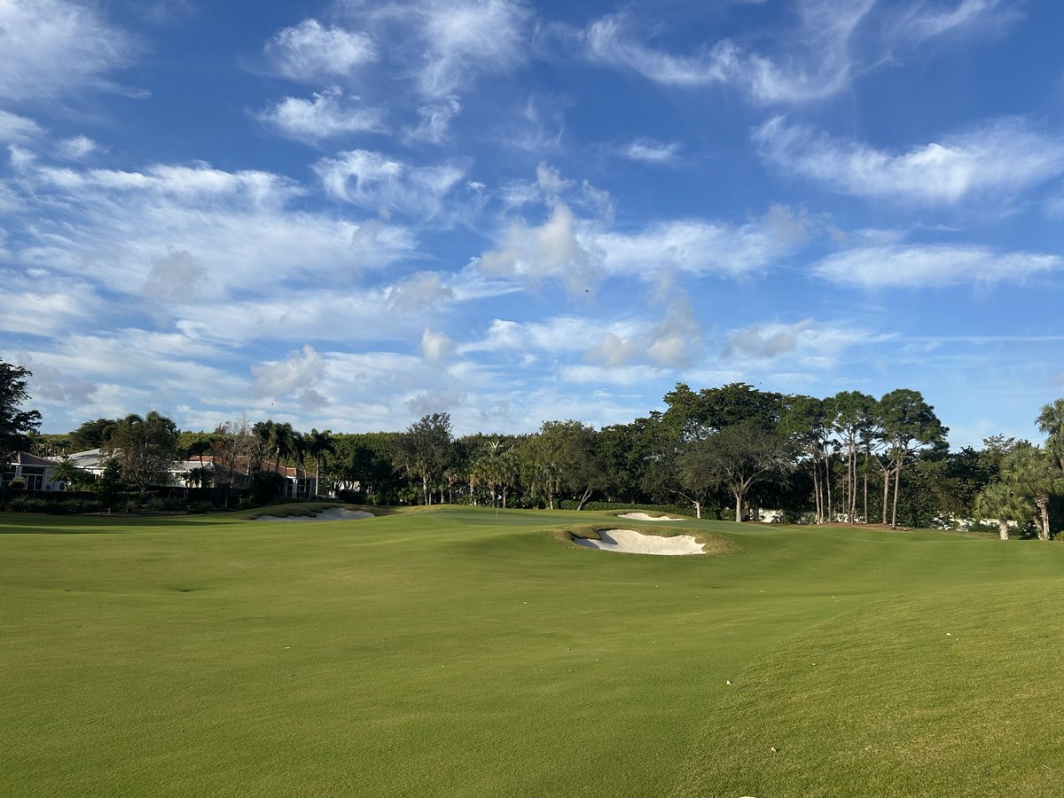 No Divots tweet media