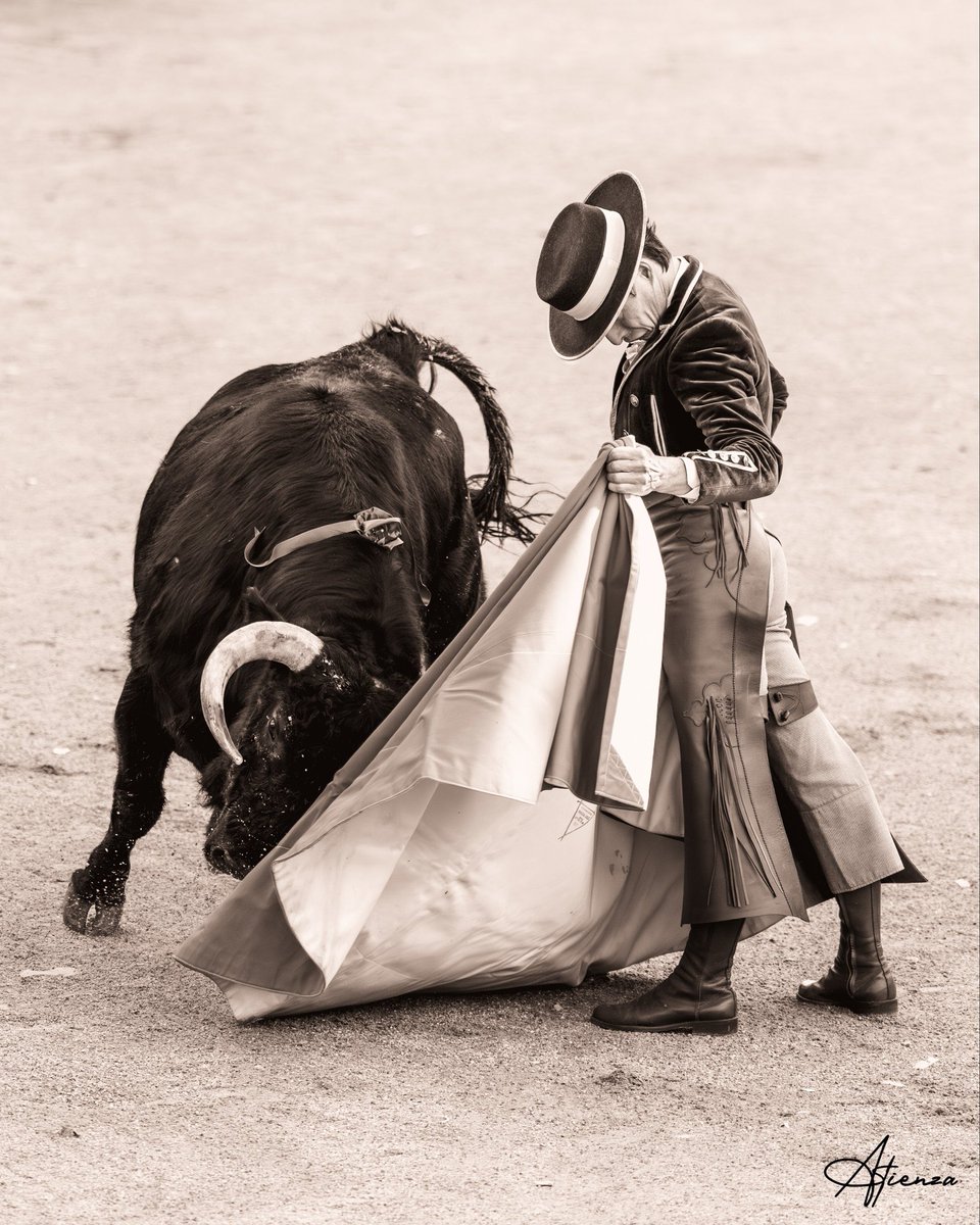Diego Urdiales.

El toreo.