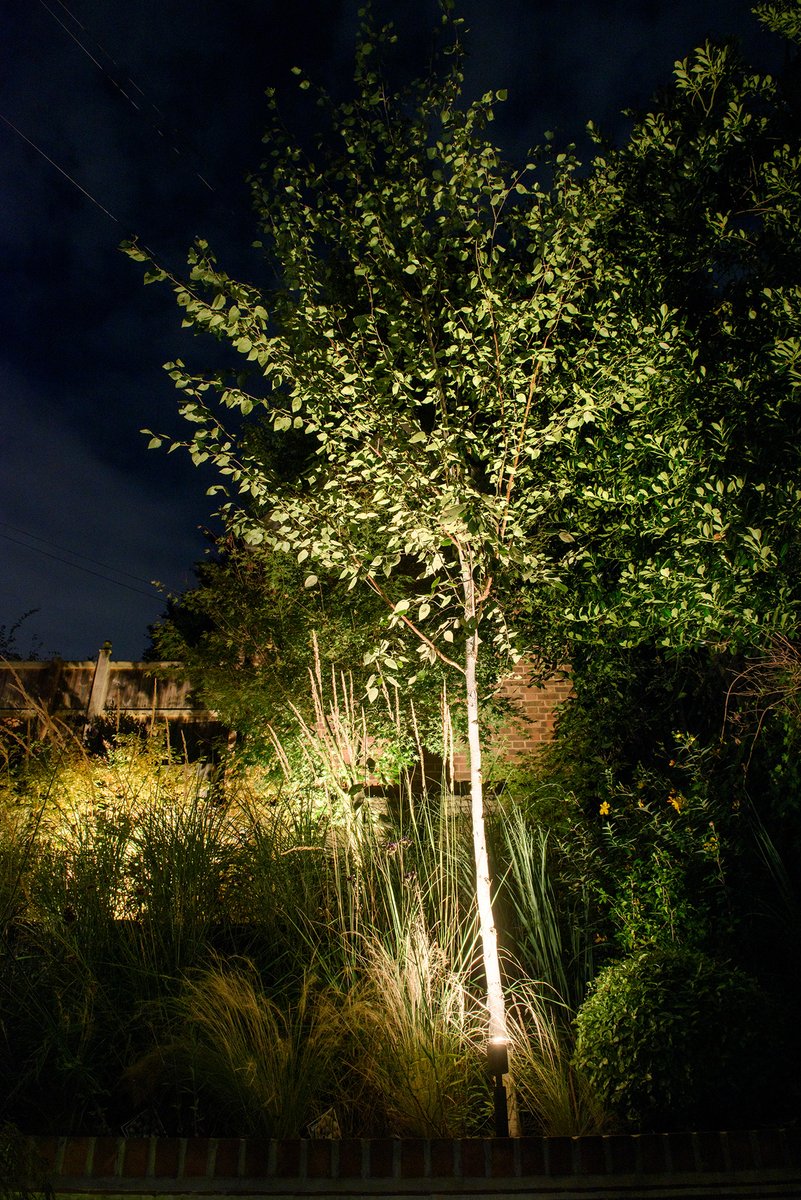 Moonlight Design tweet media