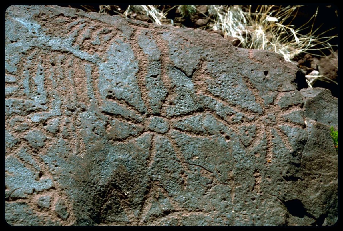 GemsOfINDOLOGY's tweet photo. Originals https://t.co/GBYSZEBAEr
