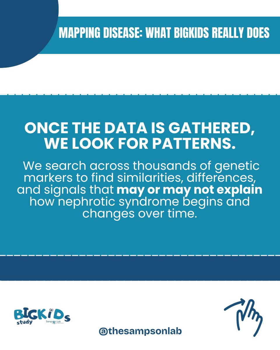 Sampson Lab for Kidney Genomics tweet media