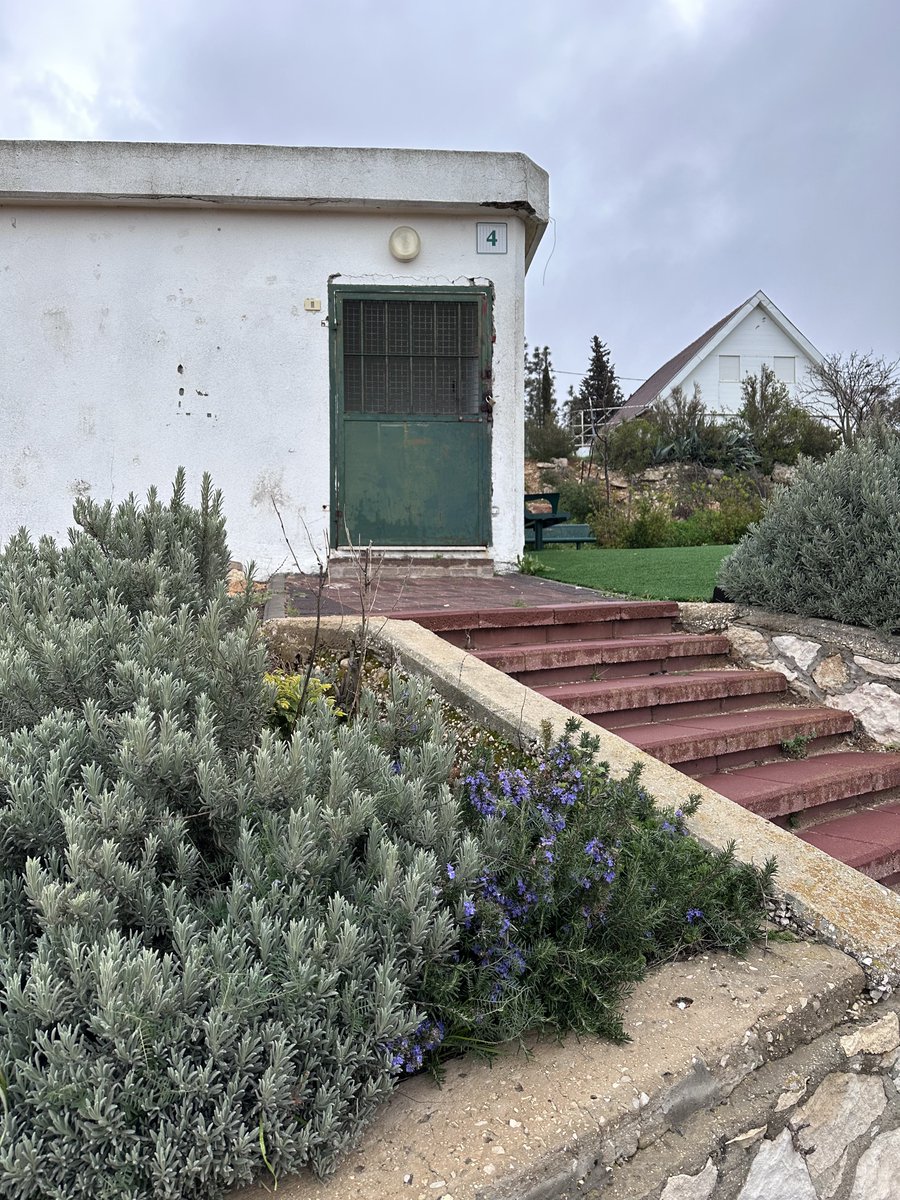 miriampollick's tweet image. The Miklat (bomb shelter) on my Yeshuv is unlocked- I went in and made sure there was toilet paper, tissues, and bottles of water. My go bag is packed. The cat is coming with us if we have to run there- I really hope we won’t have to. Please join me in praying for the righteous