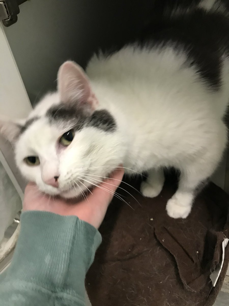 norberg & co tweet media