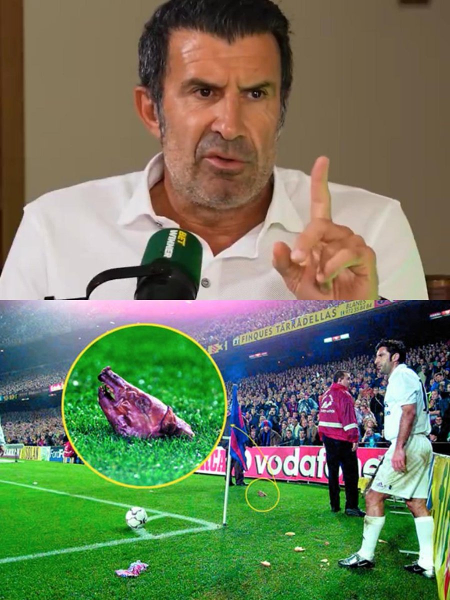 Insider Real tweet media