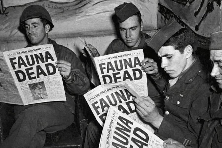 Lecco (@leccocerosiete) on Twitter photo 