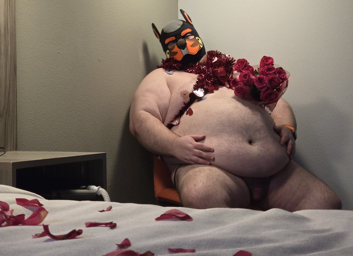 🎈🎉 Birthday Month Bear-Dog 🐻🐶❤️ tweet media