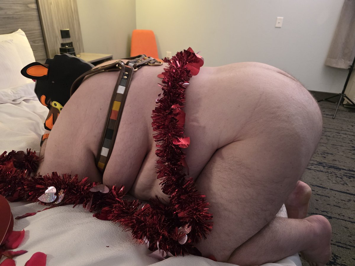 🎈🎉 Birthday Month Bear-Dog 🐻🐶❤️ tweet media