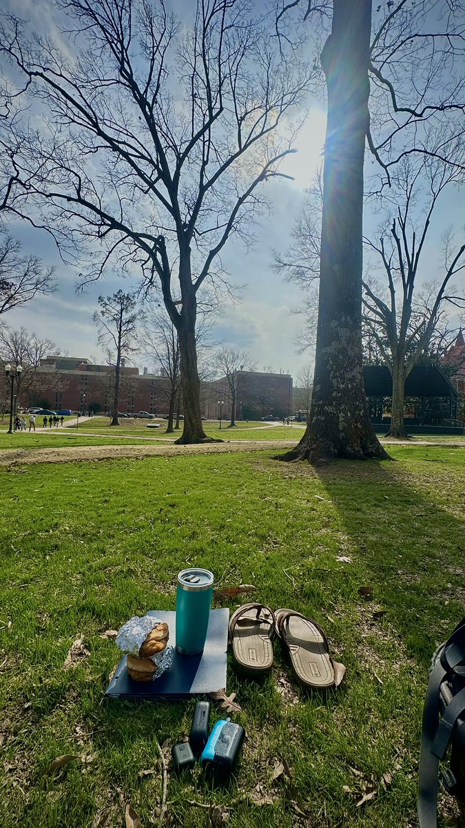 Thaddeus Marks, V.P., J.D., Attorney @ Law 🇹🇹 tweet media