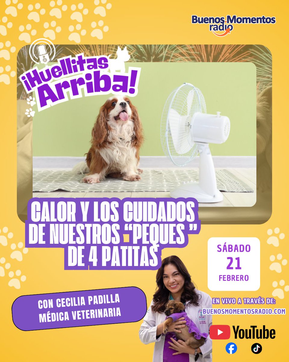 BuenosmomentosR's tweet photo. ¡Protege a tu mascota del intenso calor! 🐶☀️ Este sábado 21 de febrero en "¡Huellitas Arriba!" hablaremos sobre el calor y los cuidados de nuestros "peques" de 4 patitas junto con la médica veterinaria Cecilia Padilla. 🩺🐾
Toda esta información la tendrás aquí. 👇 https://t.co/N1NlmS4Xy2