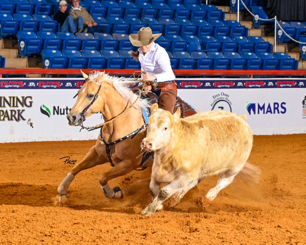 San Juan Ranch tweet media