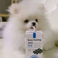 Jennifer D'aww tweet media