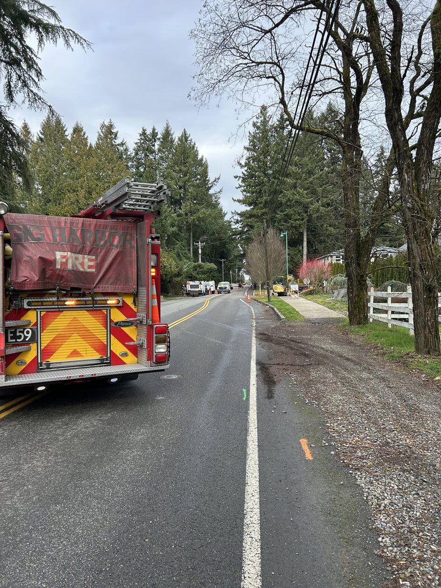 GigHarborFire tweet media