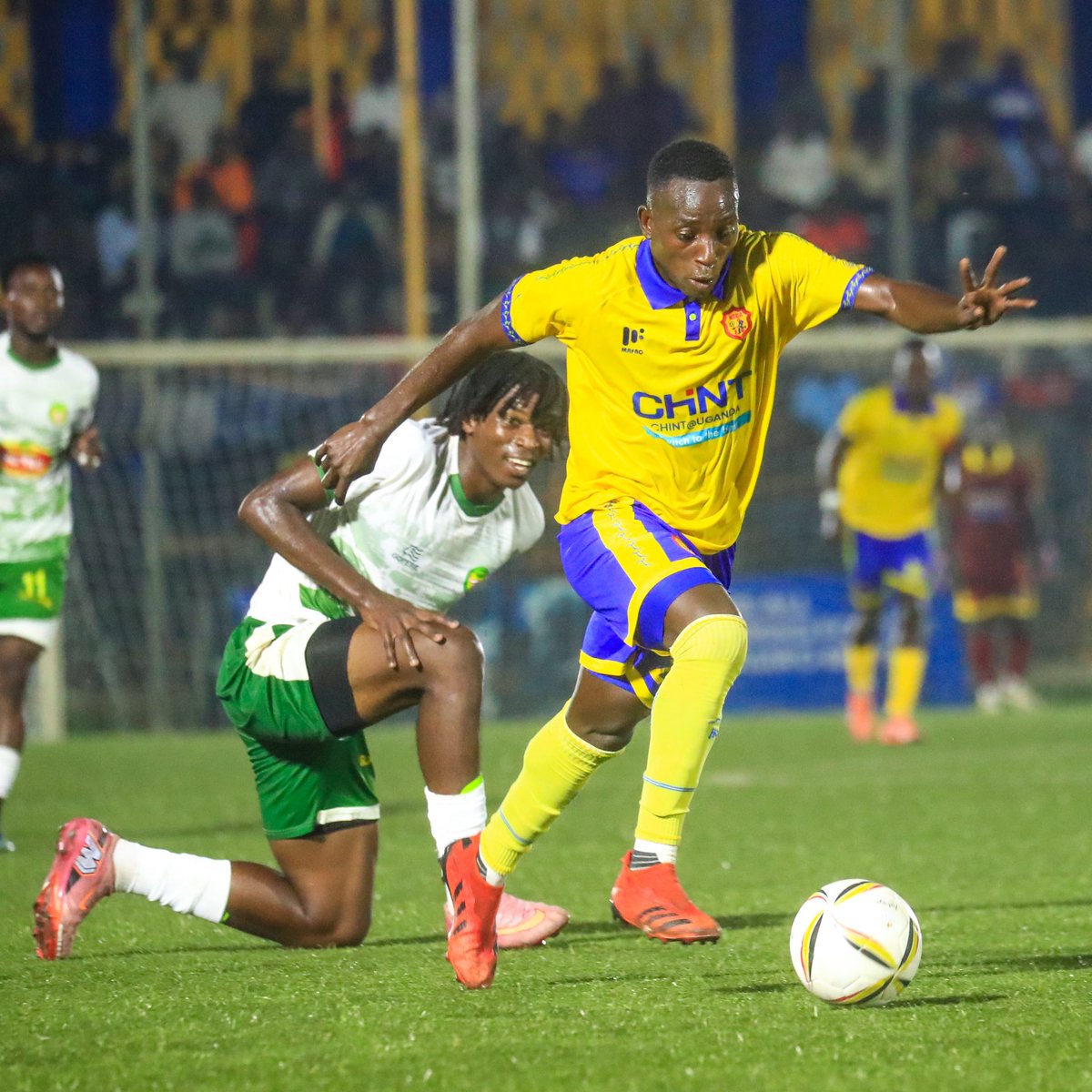 Tomstats tweet media