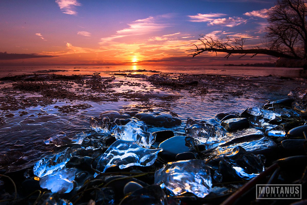 James Montanus tweet media