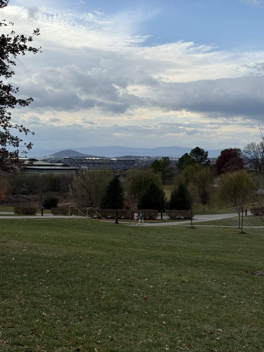 Babscalls tweet media