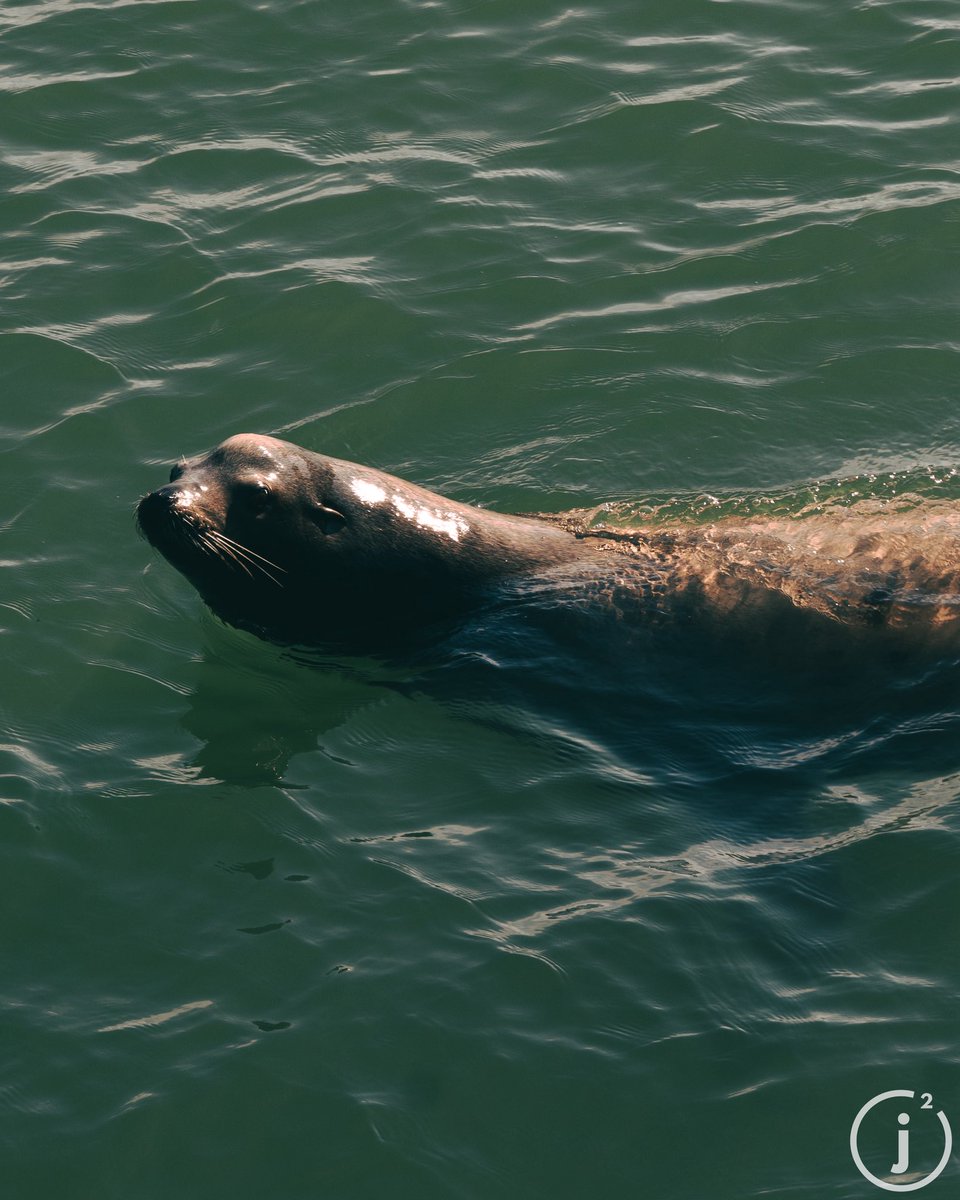 JSquared tweet media