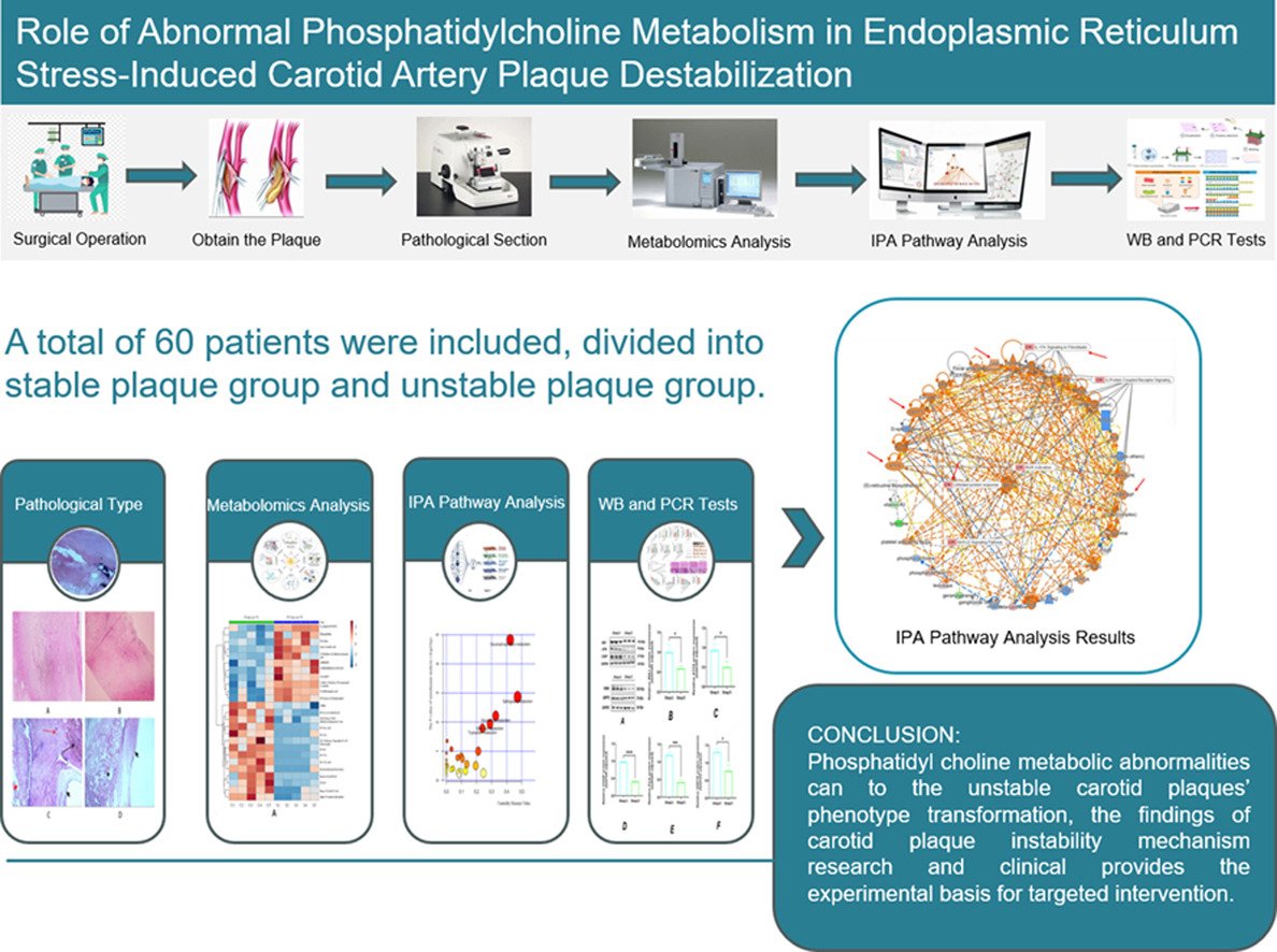 Atherosclerosis Plus tweet media