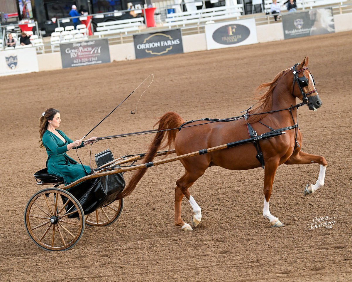US Equestrian tweet media