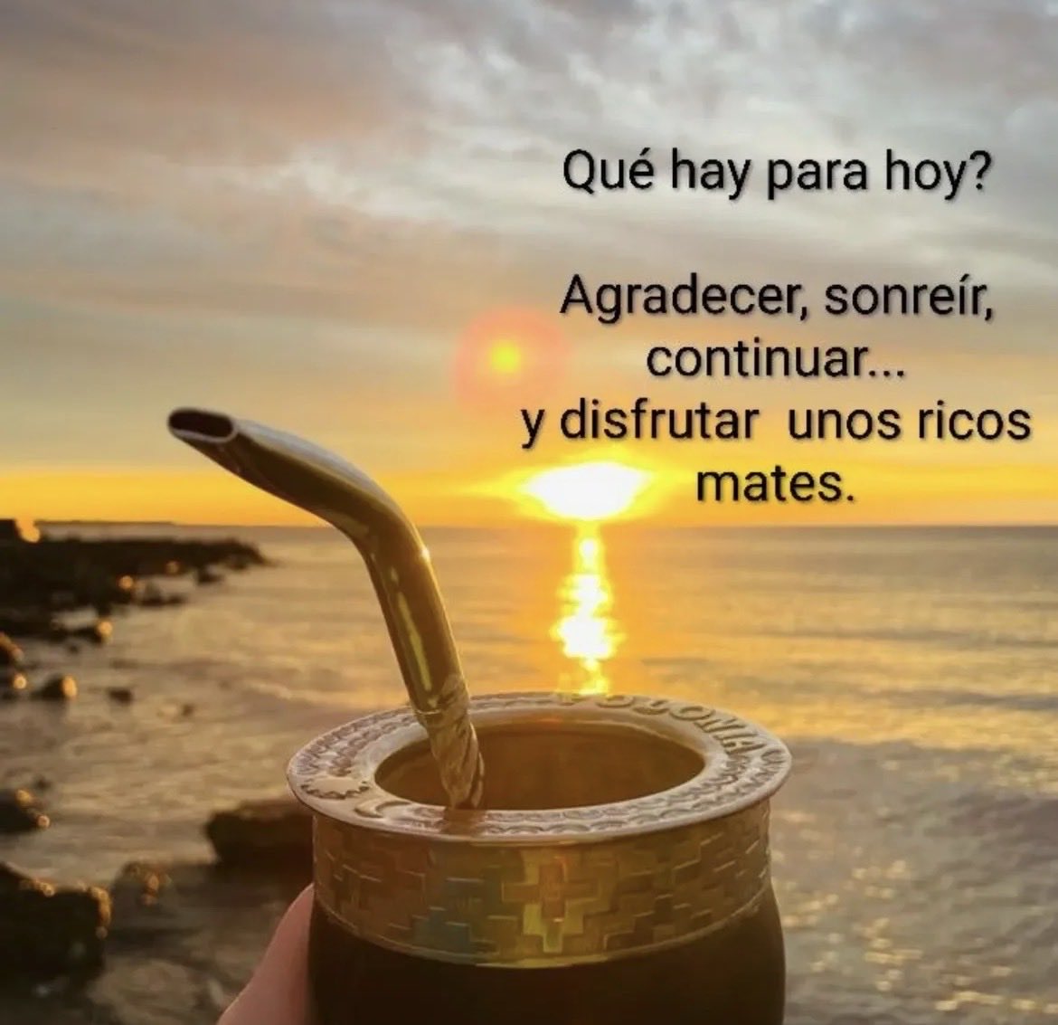 ✭ Cody ✭ tweet media