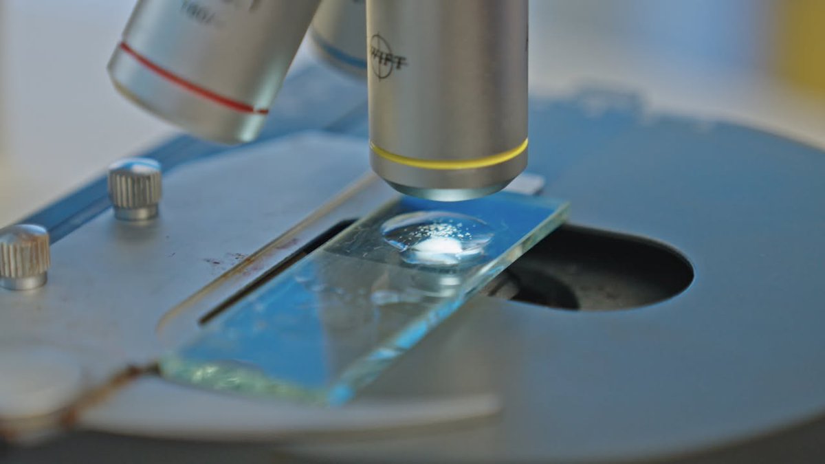 Catalina Island Marine Institute tweet media