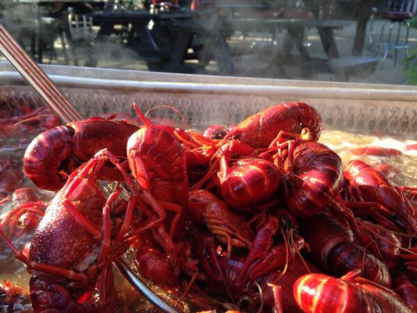 The Little Dooey's 🔥 tweet media