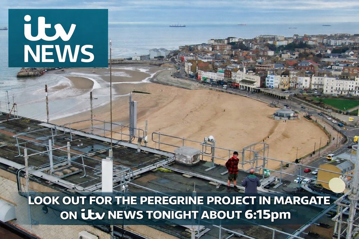 mitchellsnik's tweet image. 🦅 Margate’s Peregrines are hitting the big screen! 📺
Tune into ITV news tonight from 6:10 PM to see the Peregrine Project in action. The brilliant Tony Green came out to Margate to get a bird’s-eye view of our local legends. Don’t miss it! 🦅✨
#Margate #ITVNews