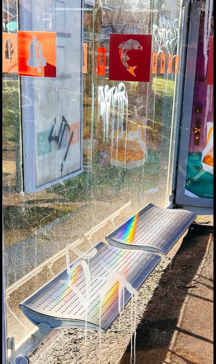 🐜 🐛 🐞 tweet media