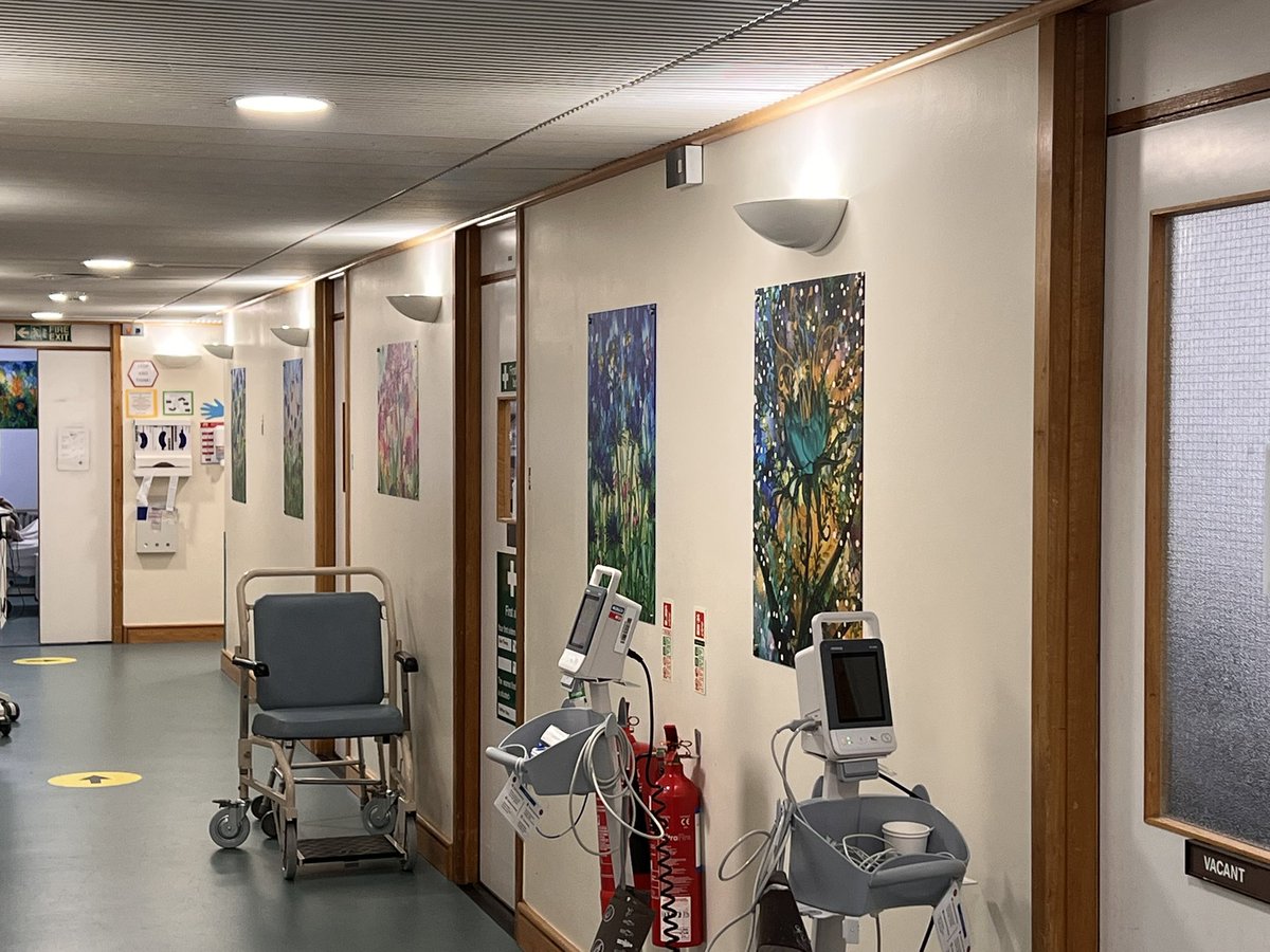 Ward 9a Gynaecology GRH tweet media