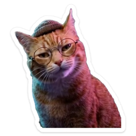 Osoluche Galicia tweet media