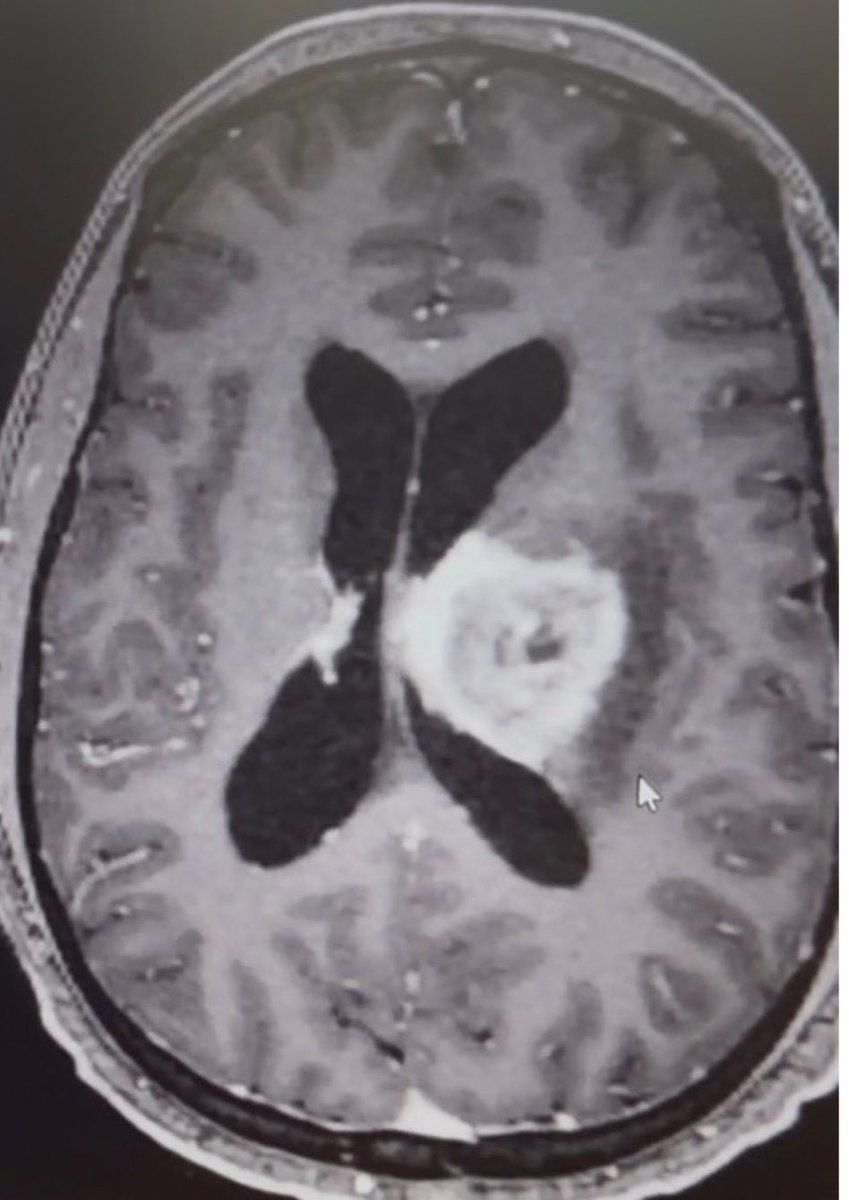 Wafik S. El-Deiry, MD, PhD, FACP tweet media