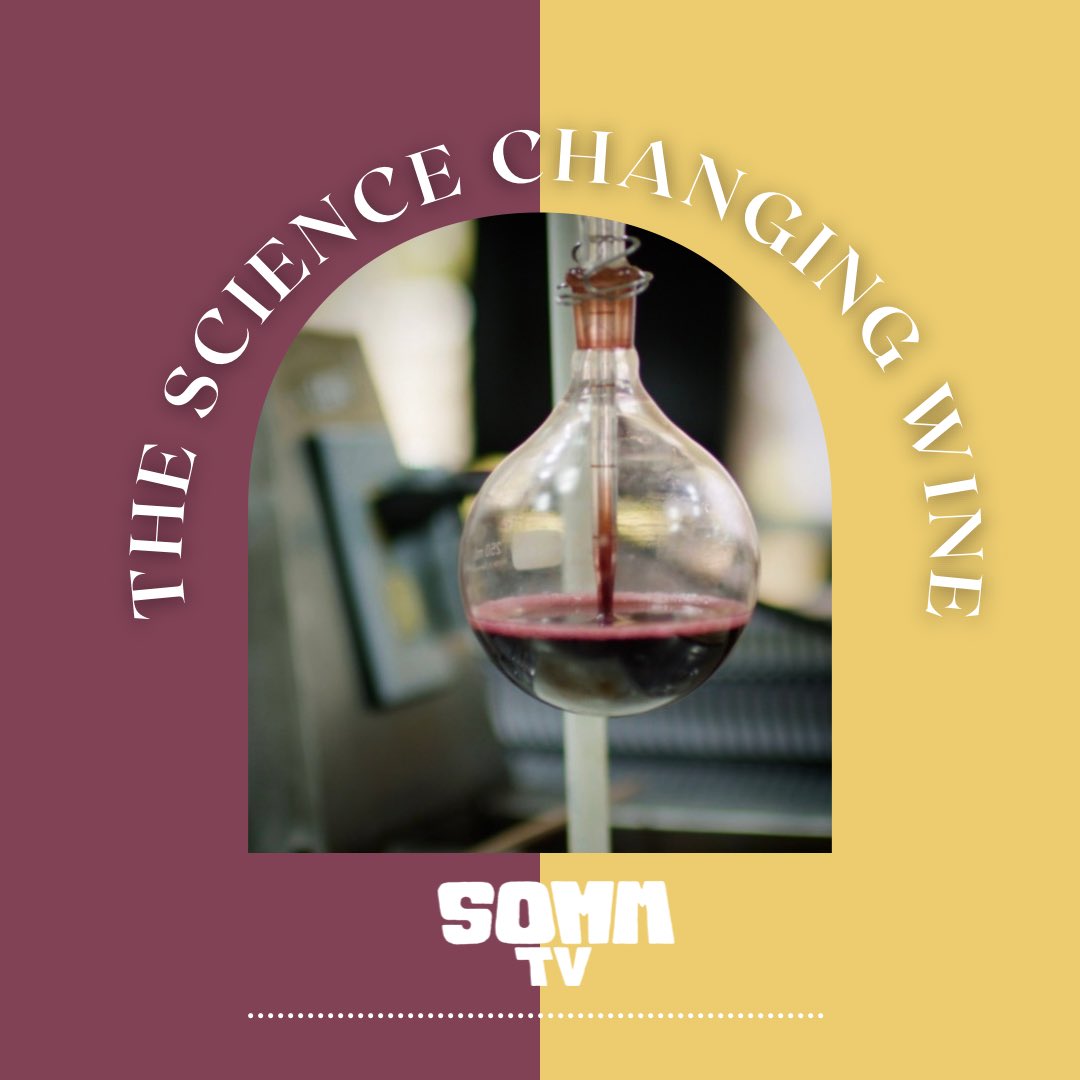 sommtv's tweet photo. Brand new SOMM TV podcast episode is live we talk to one of the world’s leading wine scientists about the science at UC Davis that is changing wine.

https://t.co/yfGDuTtMTU https://t.co/B6PDeb1gRg