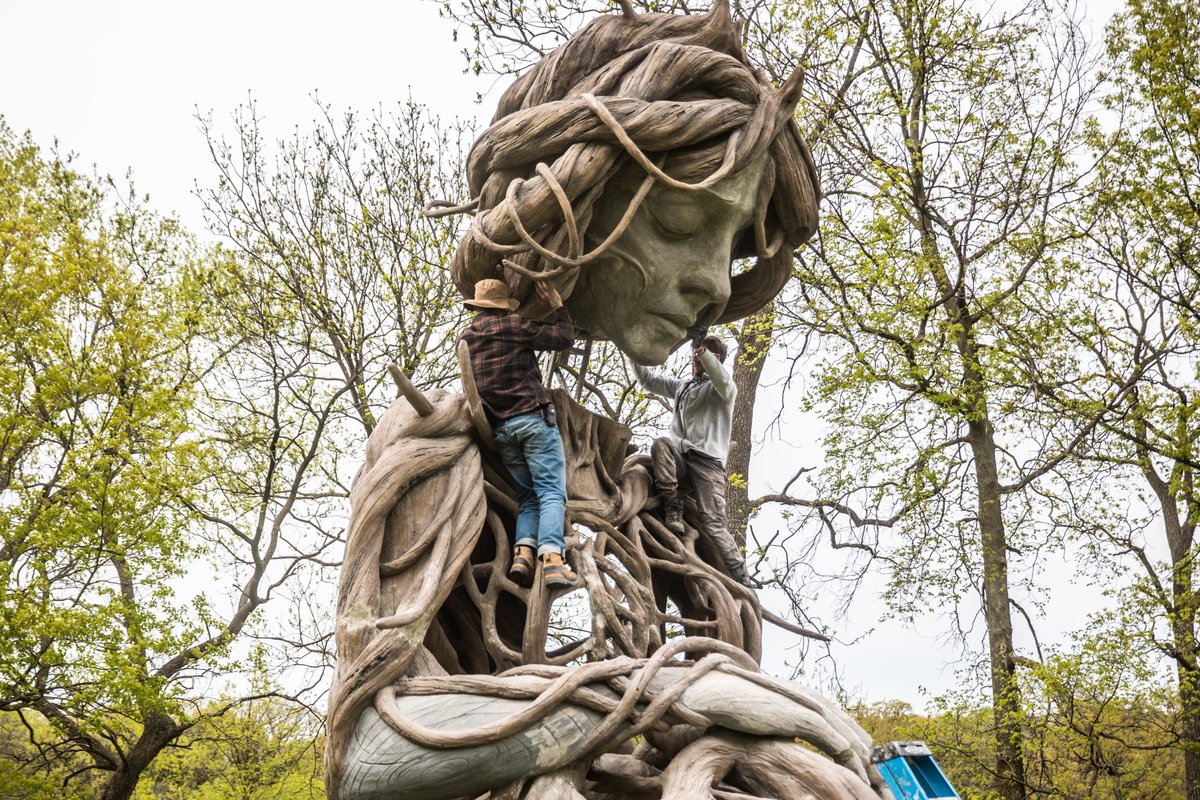 Daniel Popper tweet media