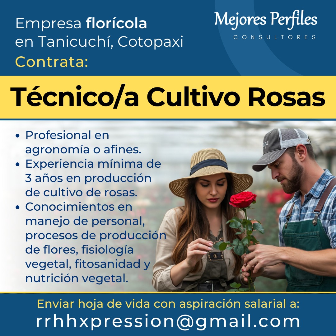 TÉCNICO/A CULTIVO ROSAS - FLORÍCOLA EN COTOPAXI

Profesional en agronomía o afin.
Experiencia en producción de cultivo de rosas.
Conocimientos en manejo de personal, producción de flores, fisiología vegetal, fitosanidad y nutrición vegetal.

Email:
rrhhxpression@gmail.com
