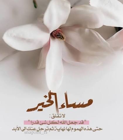 Al Majid tweet media