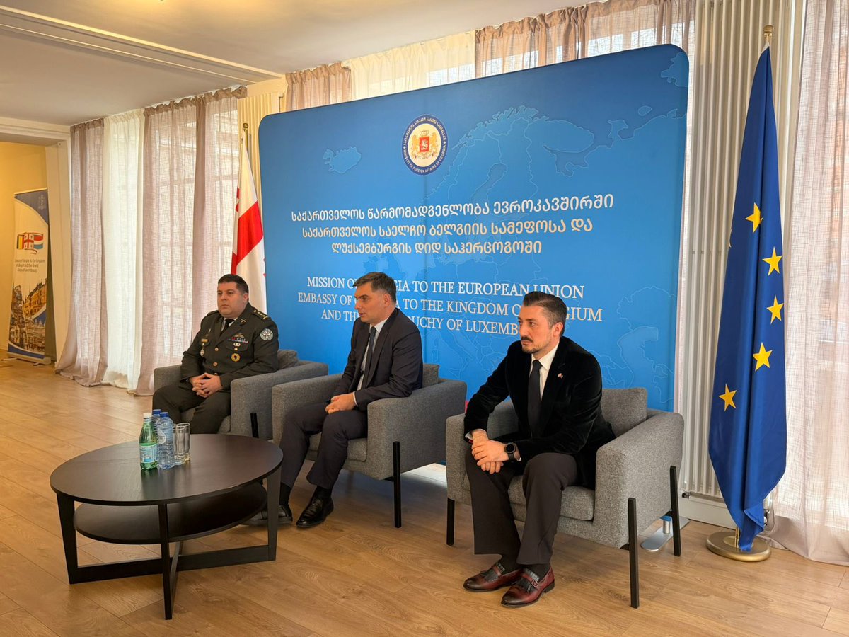 Georgia in EU/Belgium tweet media