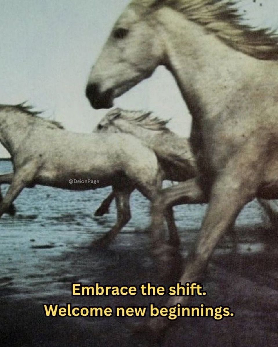 Deion 𓋹 (@calmdeion) on Twitter photo 