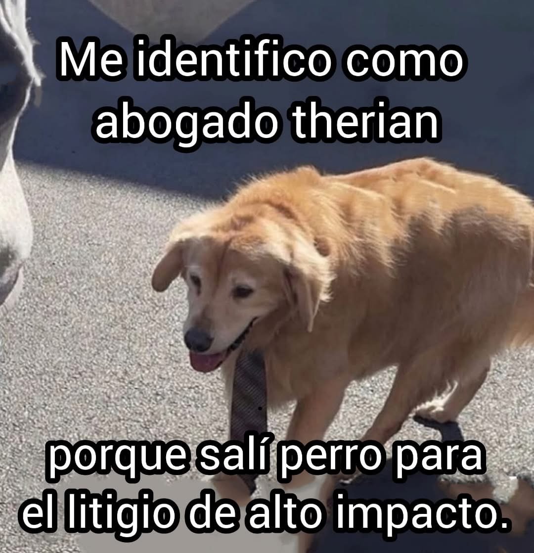 _Tryni's tweet photo. Mis amigos los litigiando ando https://t.co/auF8YQRWj7