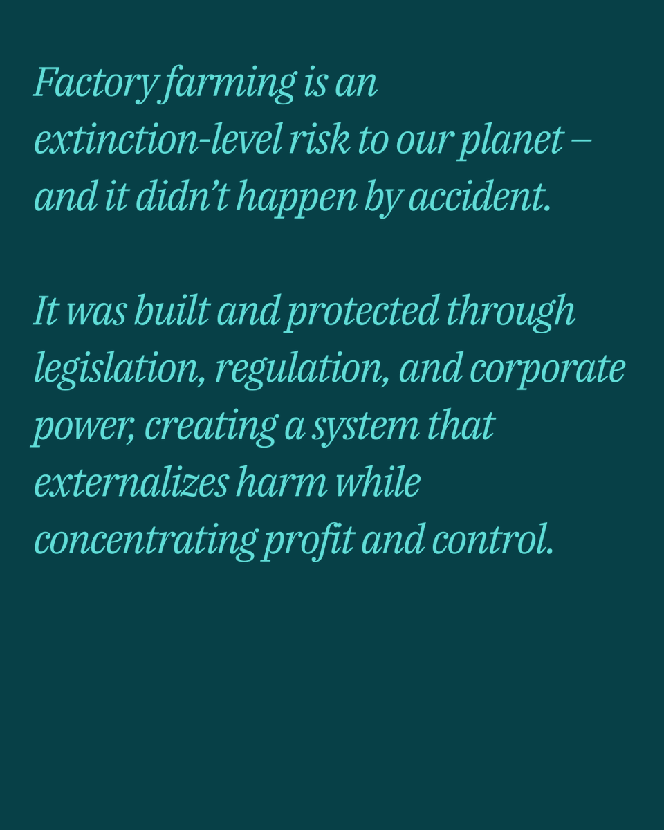 Animal Activist Legal Defense Project tweet media