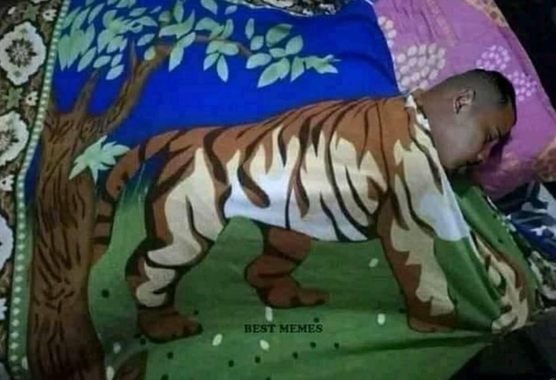 ตอซอ tweet media